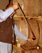 La presentacion de nuestra coleccion de vinos esta estudiada para resaltar la Calidad de Nuestros VINOS... somos una empresa de Brindisi en el Salento Italia y seleccionamos las mejores uvas de nuestra produccion para nuestros vinos Lomazzi & Sarli ahora con nueva tecnologia para ayudar los distribuidores de vinos en el mundo... Descubre el &nbsp;Gusto del vino Italiano con vinos tinto Primitivo Latias, Imperium Chardonnay, Negroamaro, Irenico Salice Salentino, Bocciolo Novello, Solice Rosato, Partemio Malvasia Bianca...